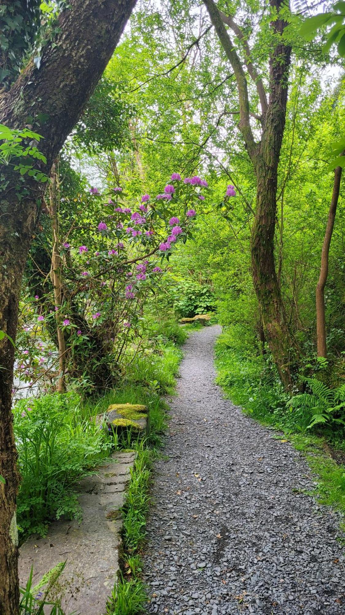 The Granary Corris On The Edge Of The Dyfi Forest Εξωτερικό φωτογραφία